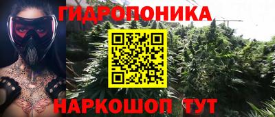амф Ковров